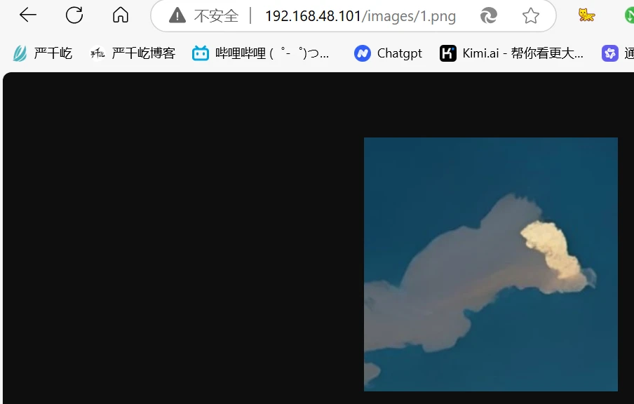 image-20241123185936964